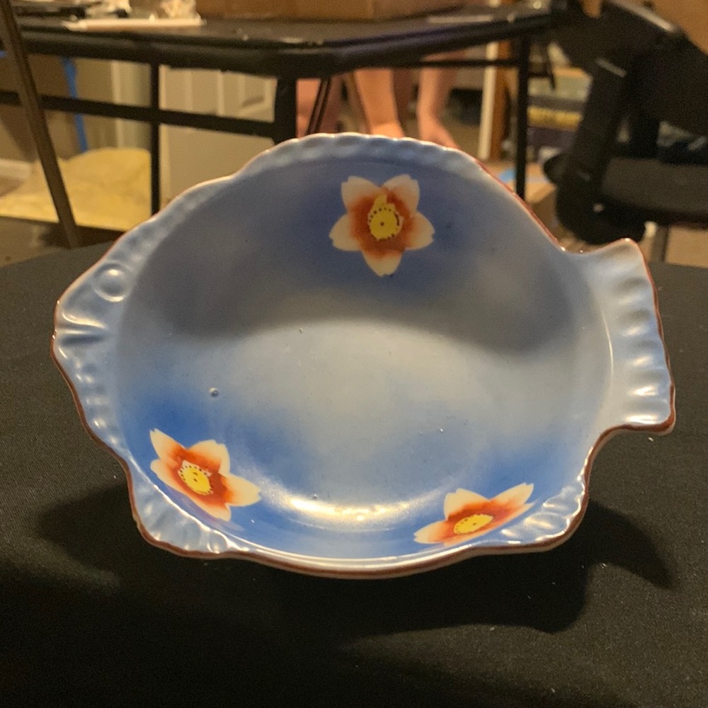 Cute 2 bowls shade like a fish